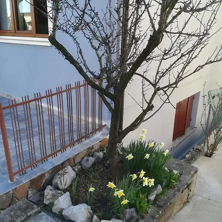 Pensión Stazione 24 *